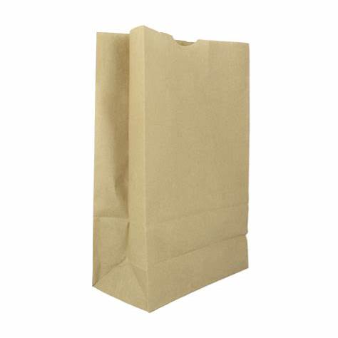 SO20 Kraft Bag - W230 x G125 x L390